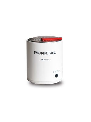 Parlante Portable Punktal Bluetooth/Aux PK-BT92