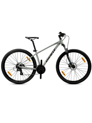 Bicicleta Giant Rincon 1 Talle S/Gris aluminio R29 Supergym