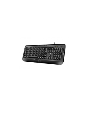 Teclado Genius PS2 Español KB-118 Negro