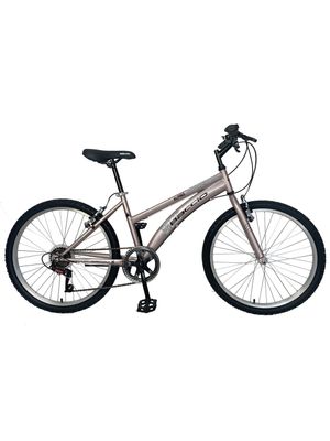 BACCIO Bicicleta ALPINA Lady rodado 26 3247 Pink