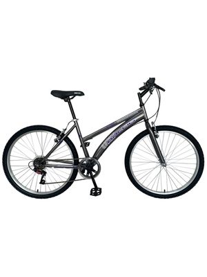 BACCIO Bicicleta ALPINA Lady rodado 24 7674 Gray