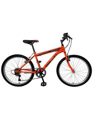 BACCIO Bicicleta ALPINA Man rodado 24 7421 Orange