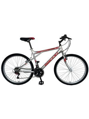 BACCIO Bicicleta ALPINA Man rodado 26 9312 Gray