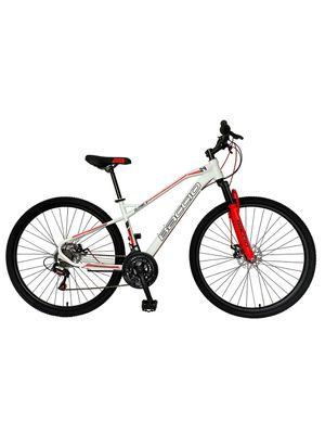 BACCIO Bicicleta Alpina X Man rodado 29 8100 White